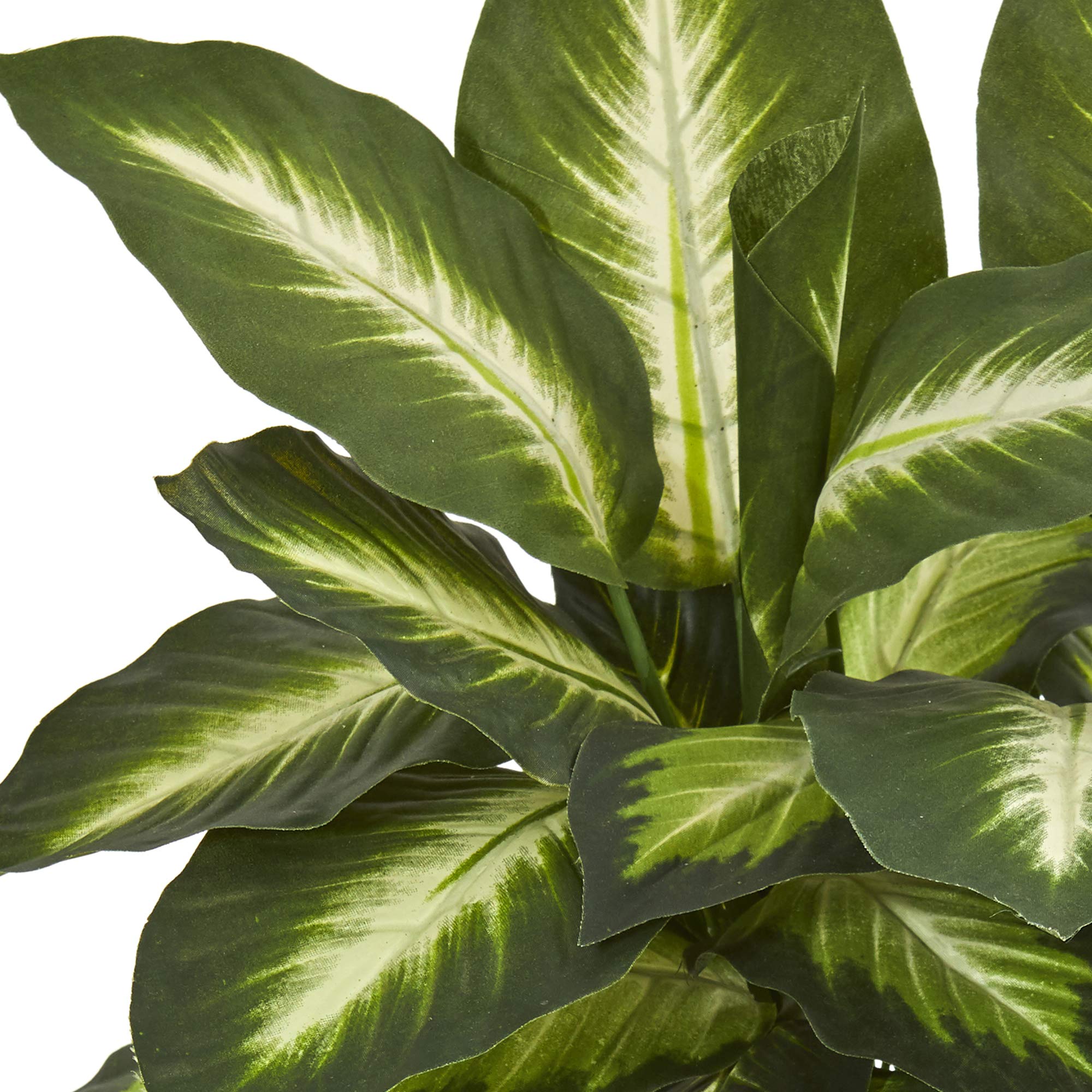 Nearly Natural Dieffenbachia leaves close-up shows realistic variegation.