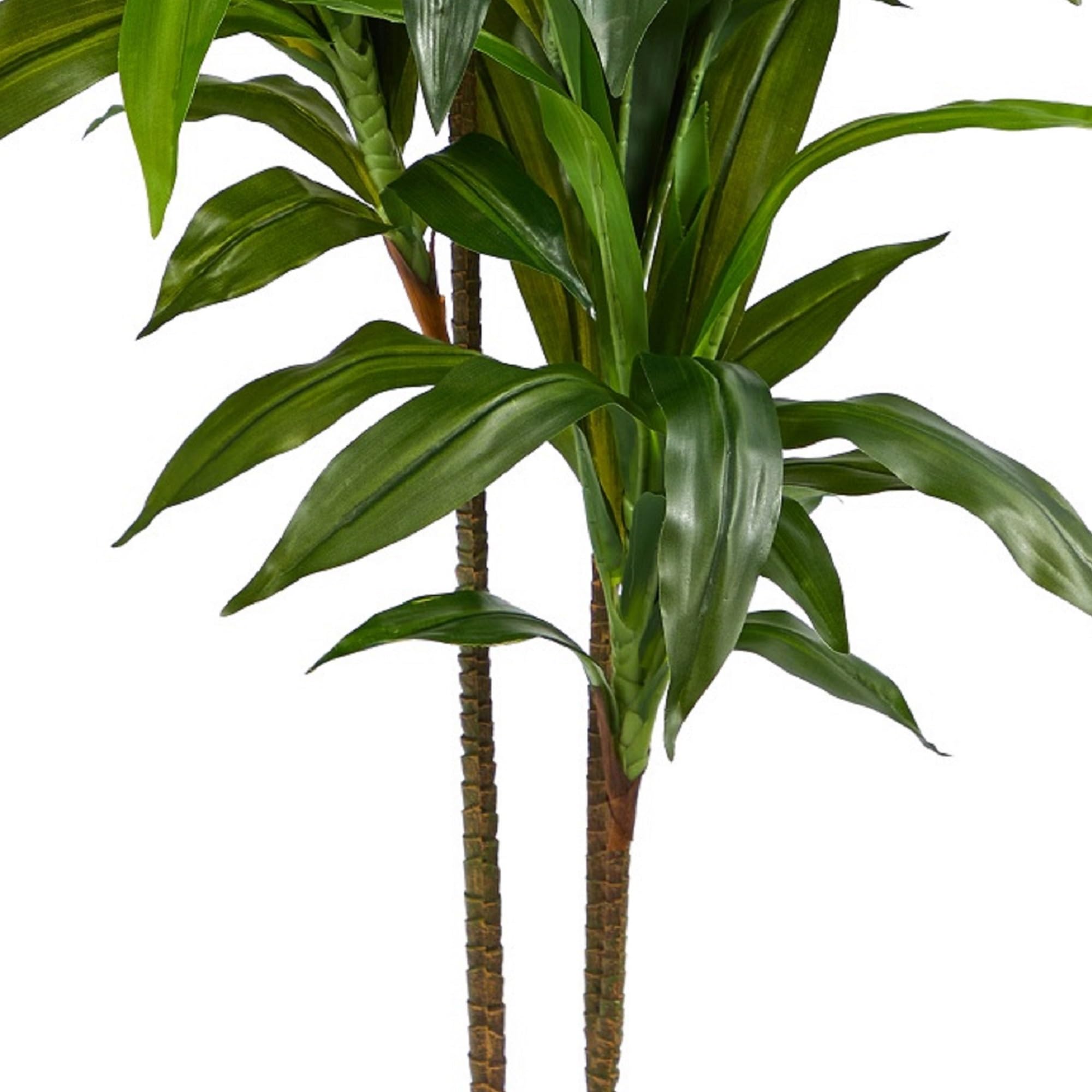 Nearly Natural dracaena 64-leaves detail highlights lush texture.