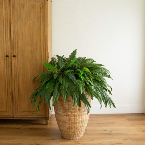 Nearly Natural fern vines demonstrate overflowing evergreen leaves and natural fullness.