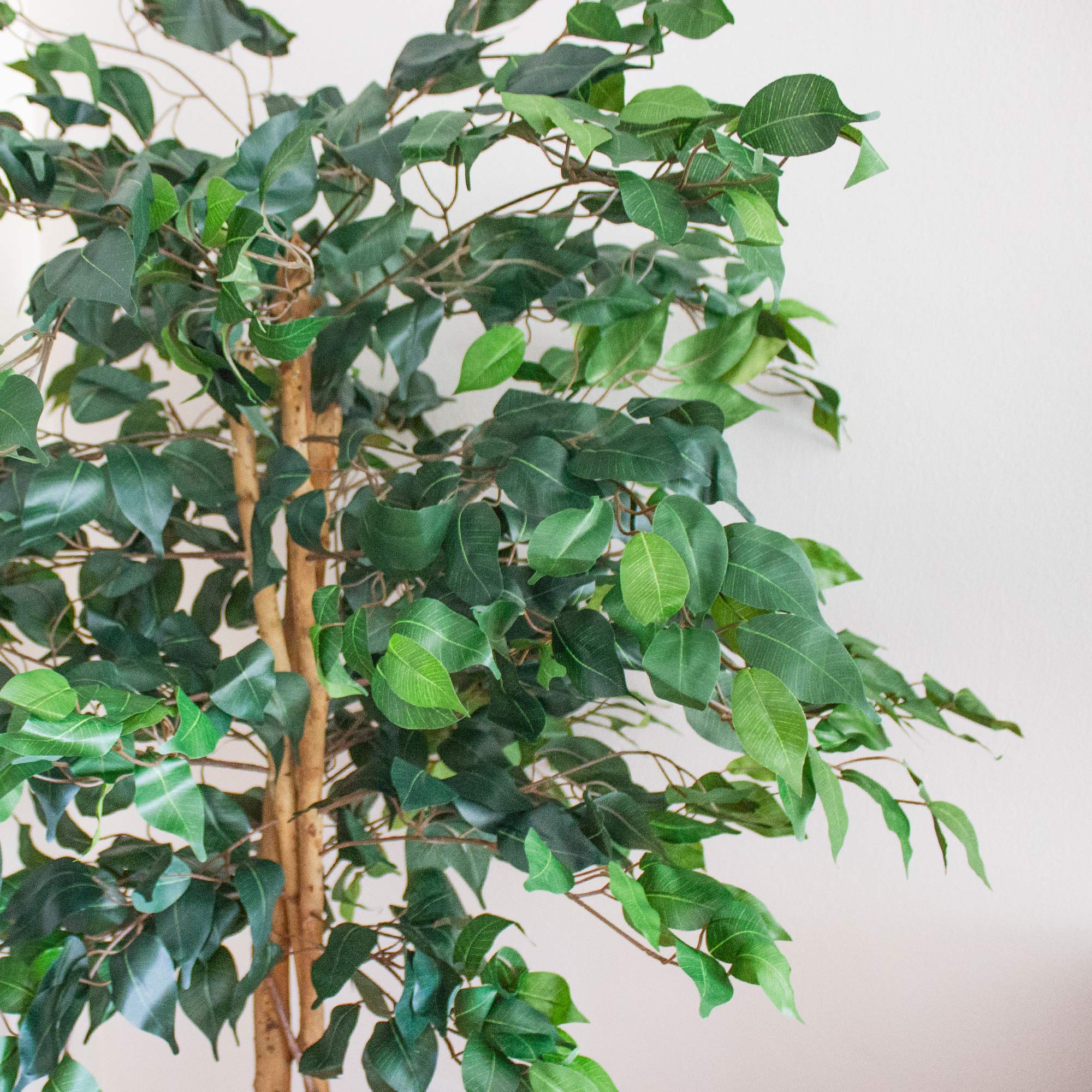 Close-up of 756 leaves on Nearly Natural ficus tree for lush greenery.