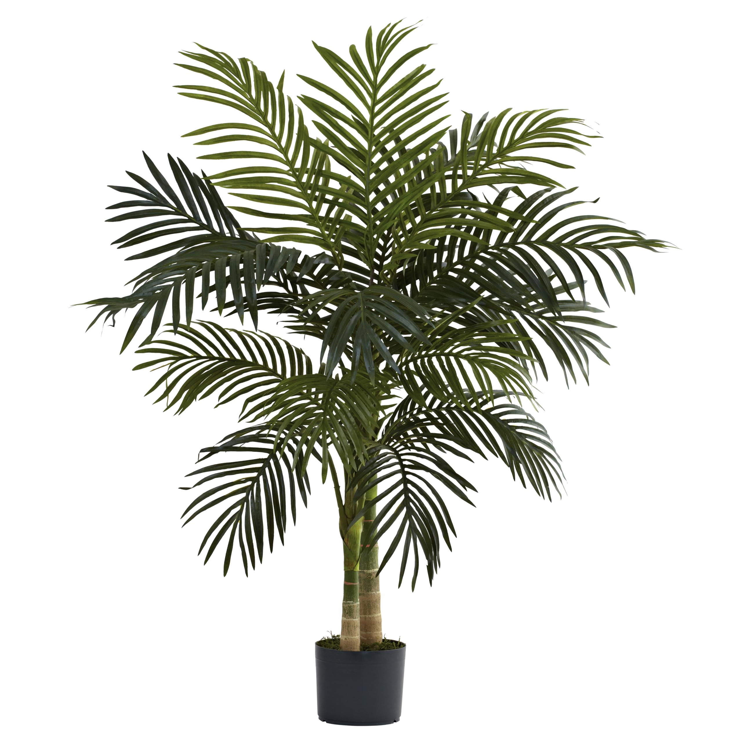 Nearly Natural Golden Cane Palm with two trunks enhances tropical ambiance
