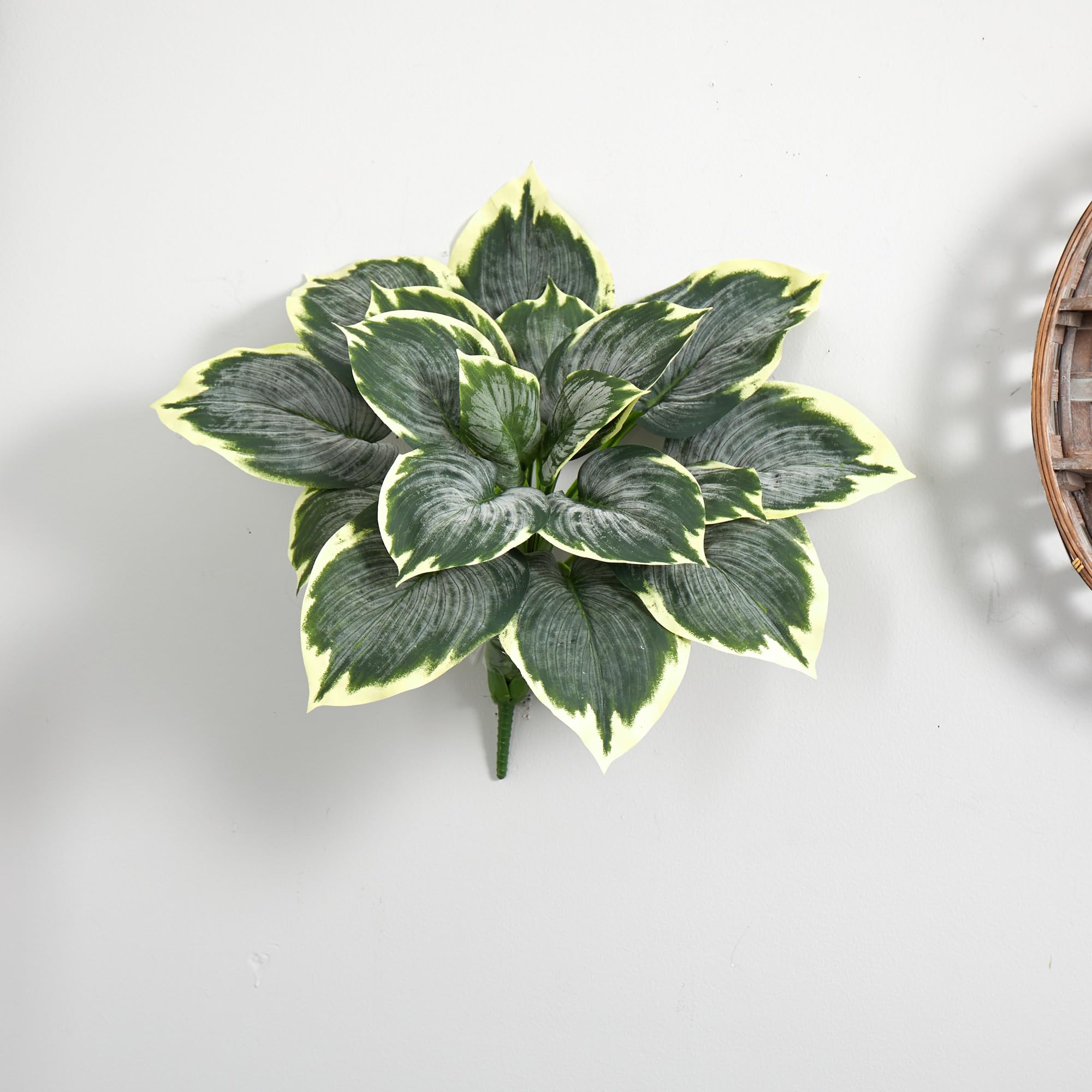 Nearly Natural variegated hosta in decorative planter, ready to display in living or work spaces.