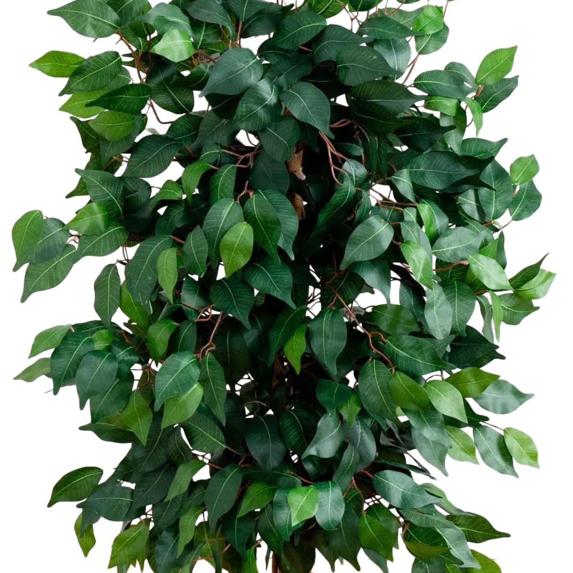 Nearly Natural lush leaves close-up showcases vibrant ficus foliage.