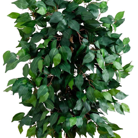 Nearly Natural lush leaves close-up showcases vibrant ficus foliage.