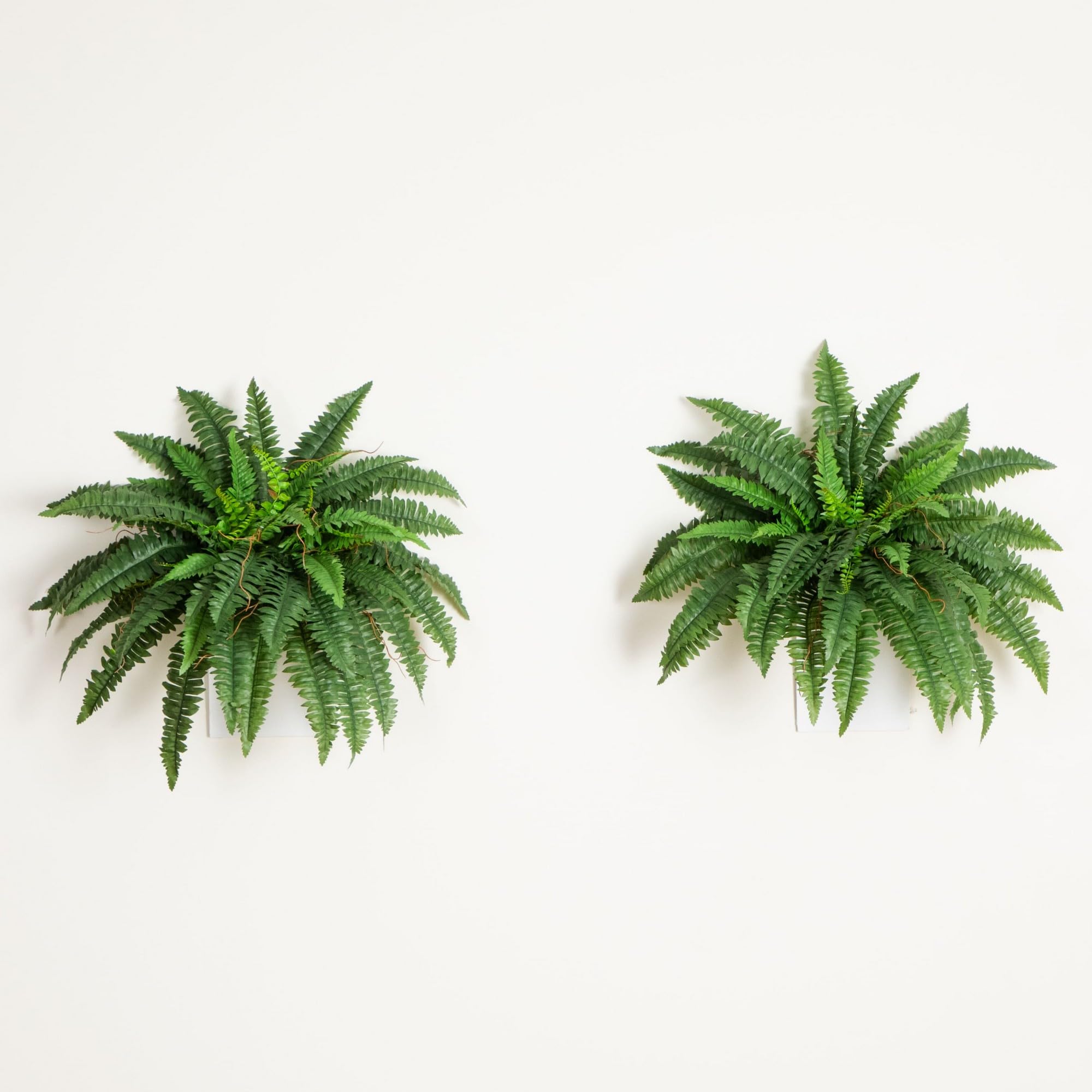 Nearly Natural maintenance-free silk fern offers long-lasting beauty with no upkeep.