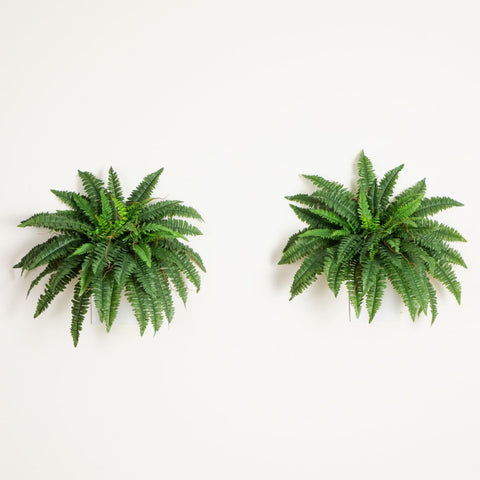 Nearly Natural maintenance-free silk fern offers long-lasting beauty with no upkeep.