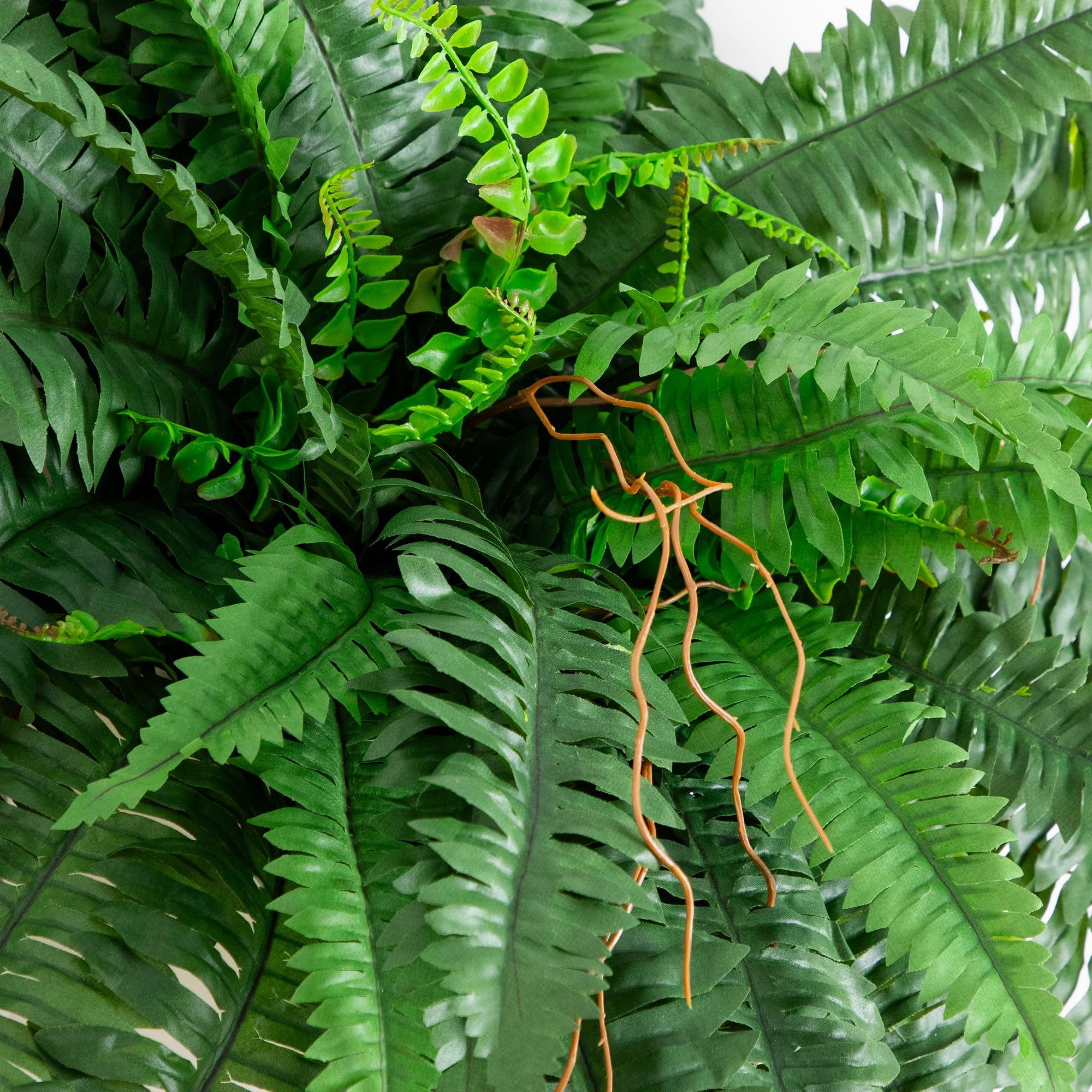 Nearly Natural paired Boston fern for versatile indoor display and year-round greenery.