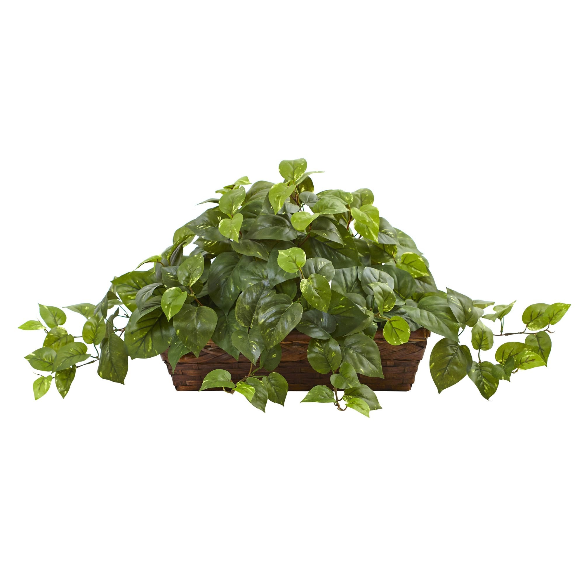 Nearly Natural pothos ivy in ledge basket adds year-round greenery to your space.