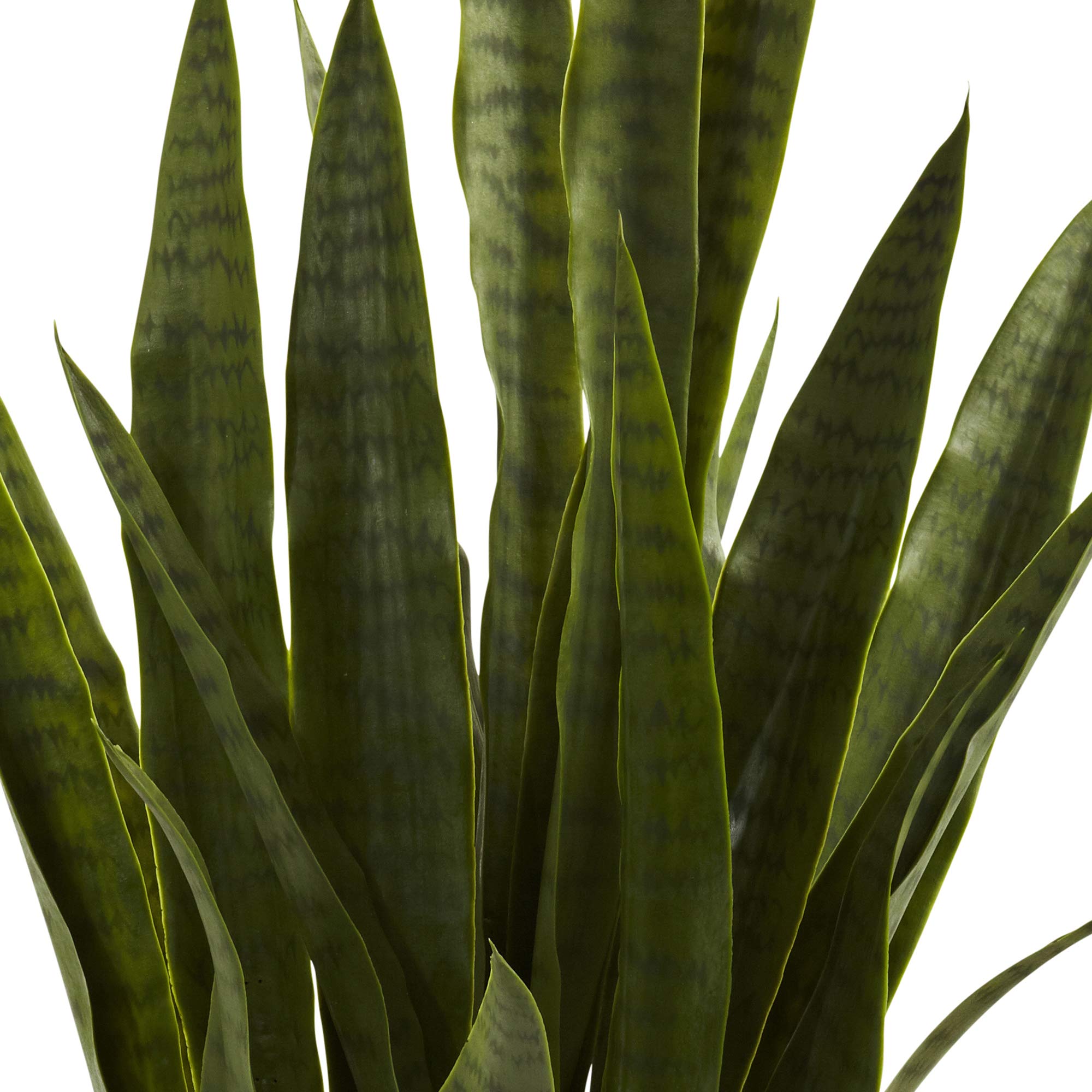 Nearly Natural snake plant looks vibrant with minimal dusting.
