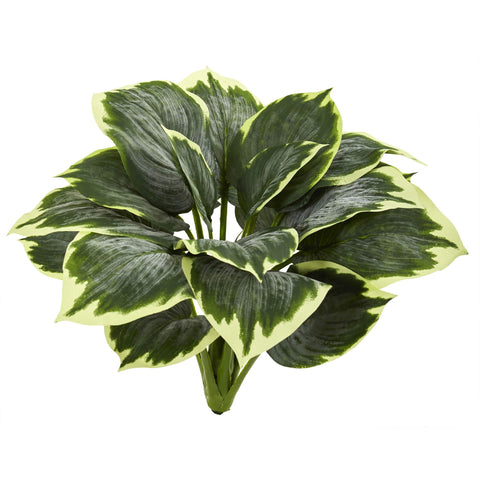 Nearly Natural variegated hosta artificial plant set of six, arranged for a full, lush display.