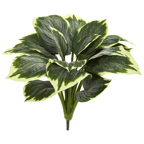 Nearly Natural variegated hosta leaves close-up, lifelike texture for realistic home or office decor.