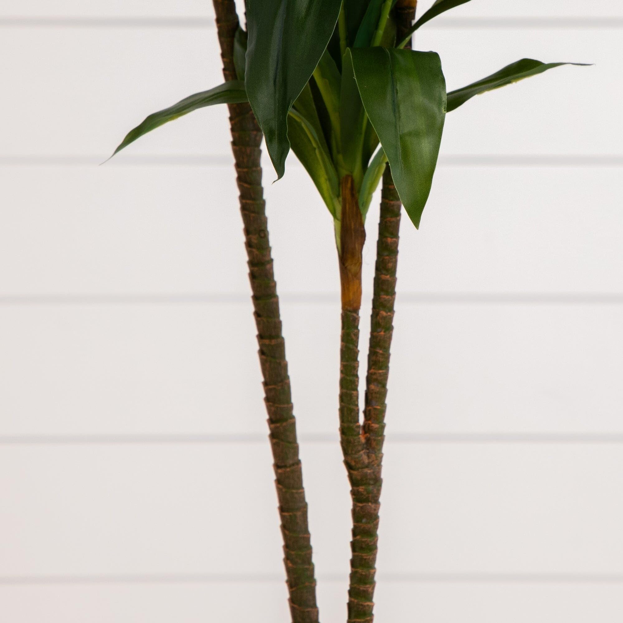 Nearly Natural Dracaena full plant, vivid foliage and height enhance living room focal point.