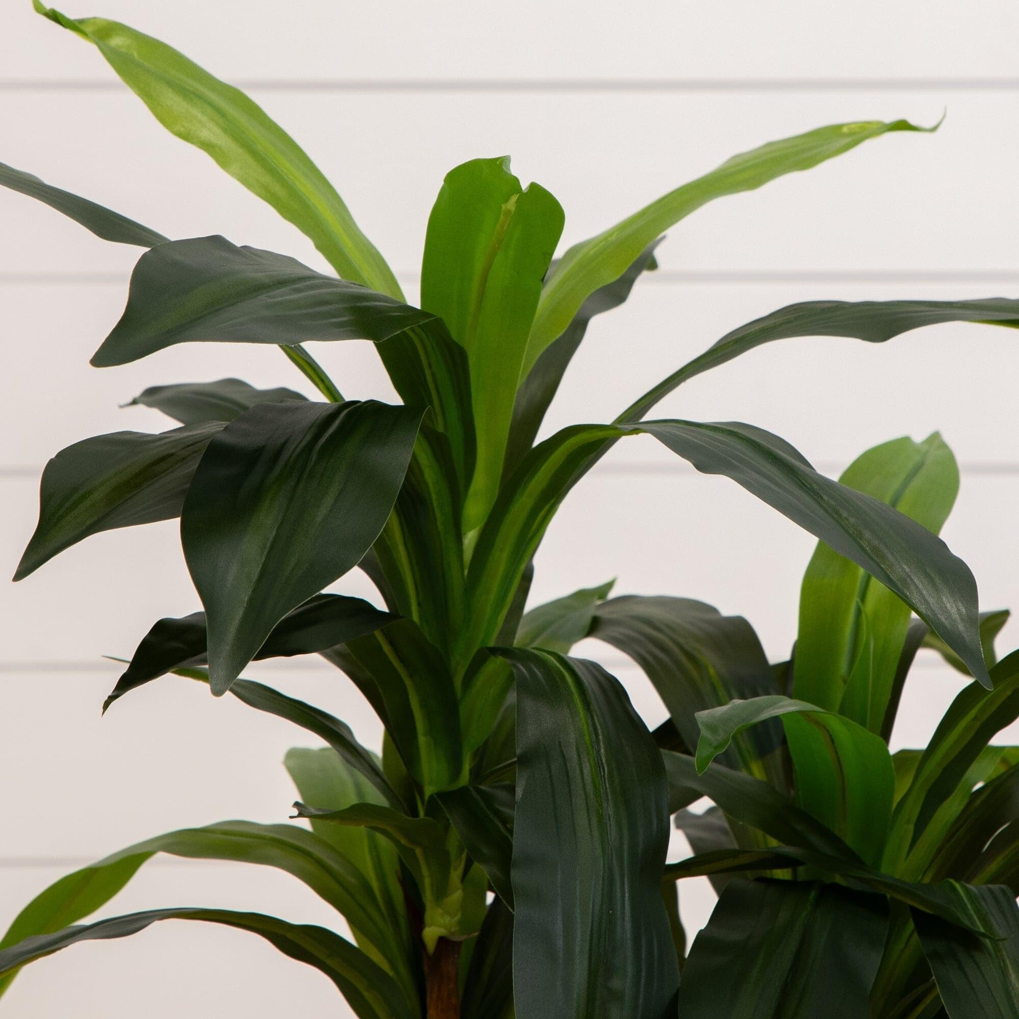 Nearly Natural Dracaena pot presentation, 4 ft tall, ready-to-display in decorative planters.