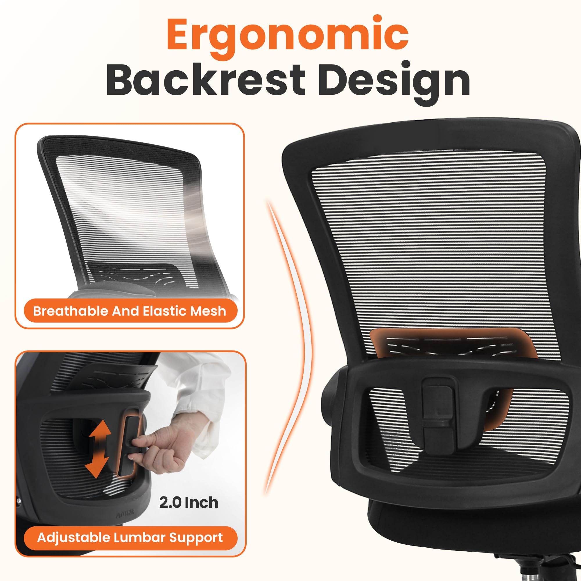 NEO CHAIR adjustable lumbar support for personalized seating