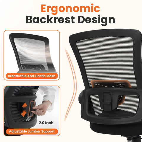 NEO CHAIR adjustable lumbar support for personalized seating