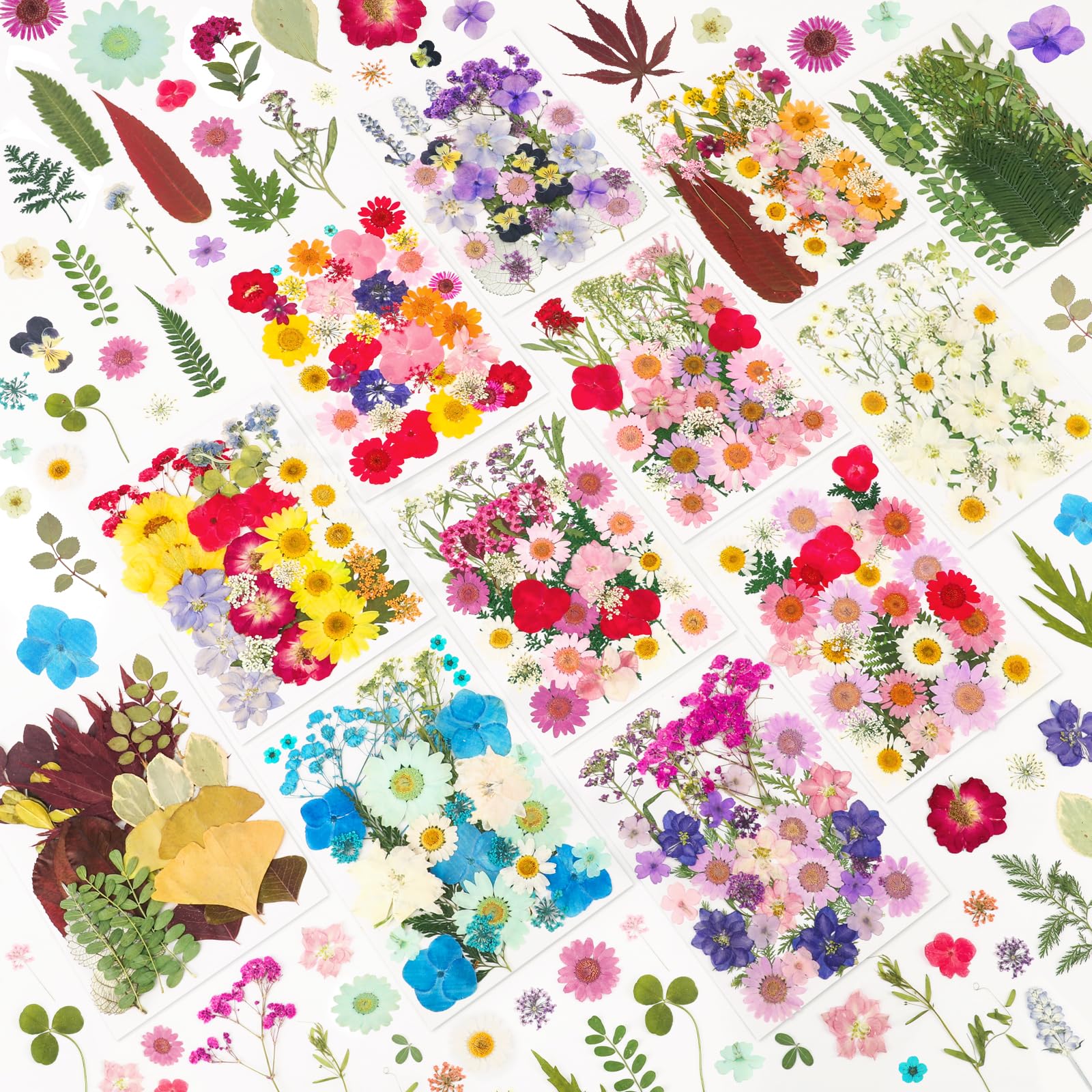 NESCCI 420 pcs pressed flowers in vacuum packaging for pristine resin crafts