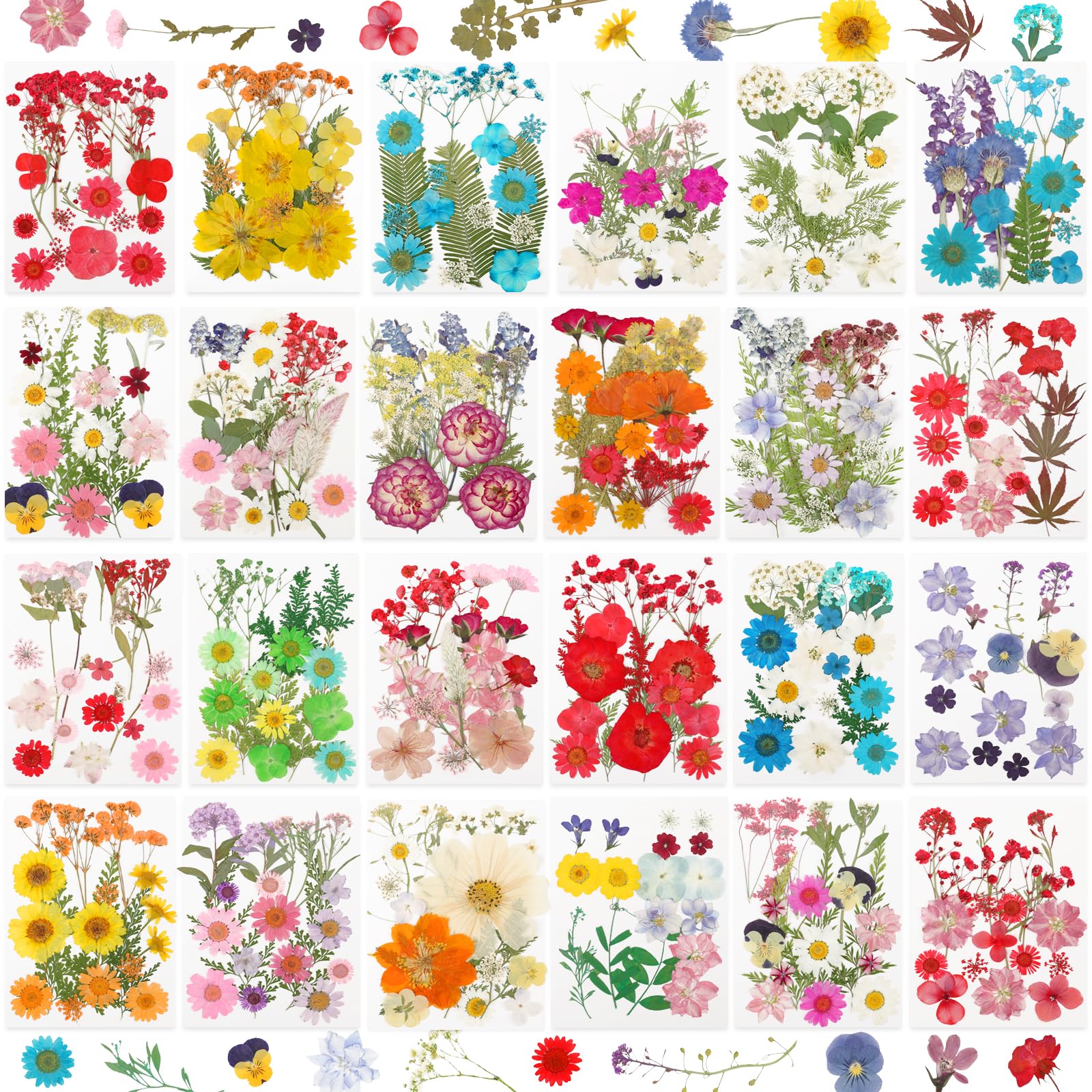 NESCCI 428-pcs pressed flowers for resin set—vibrant petals ideal for DIY crafts.