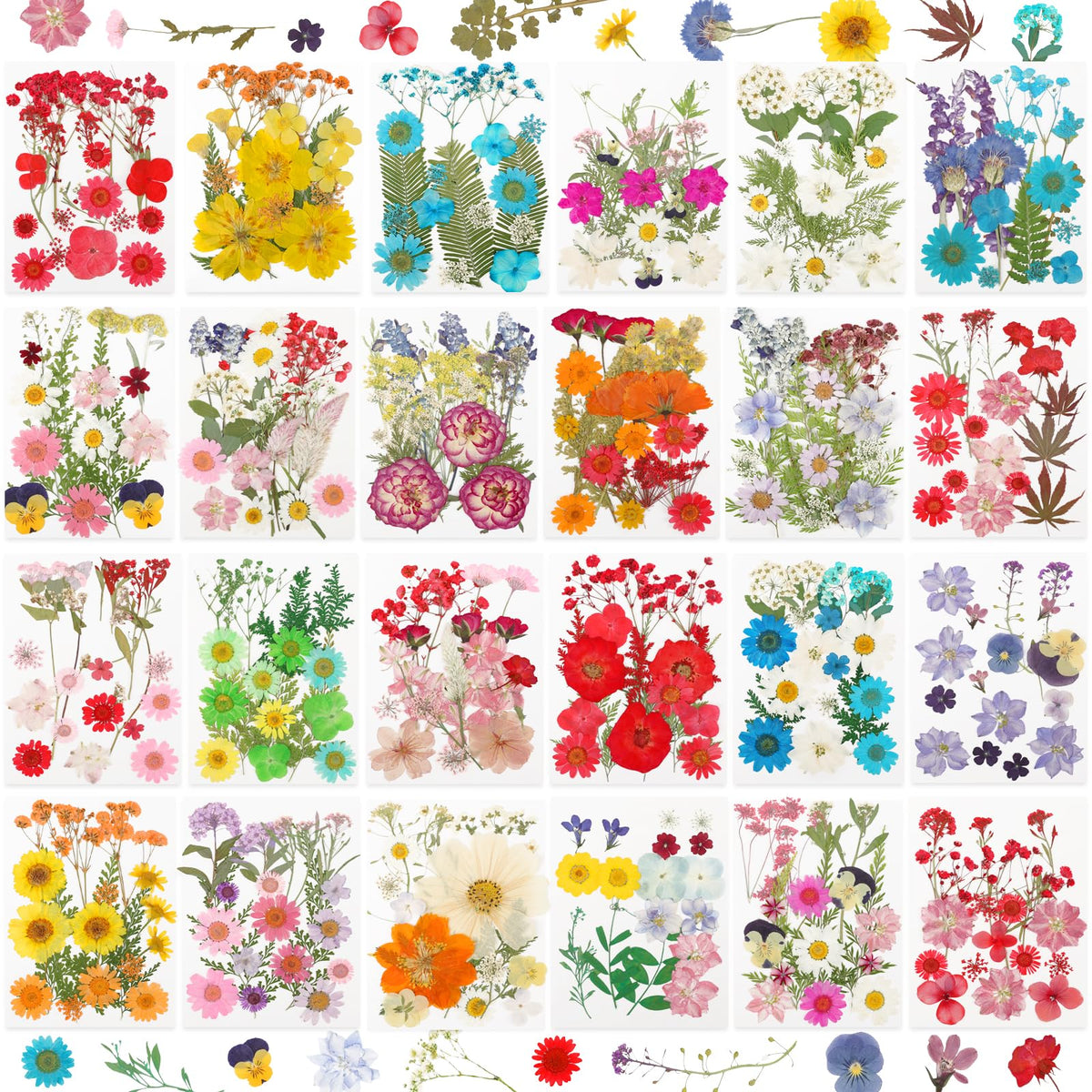 NESCCI 428-pcs pressed flowers for resin set—vibrant petals ideal for DIY crafts.