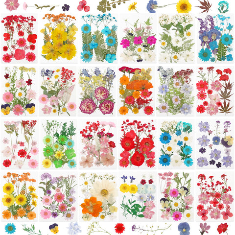 NESCCI 428-pcs pressed flowers for resin set—vibrant petals ideal for DIY crafts.