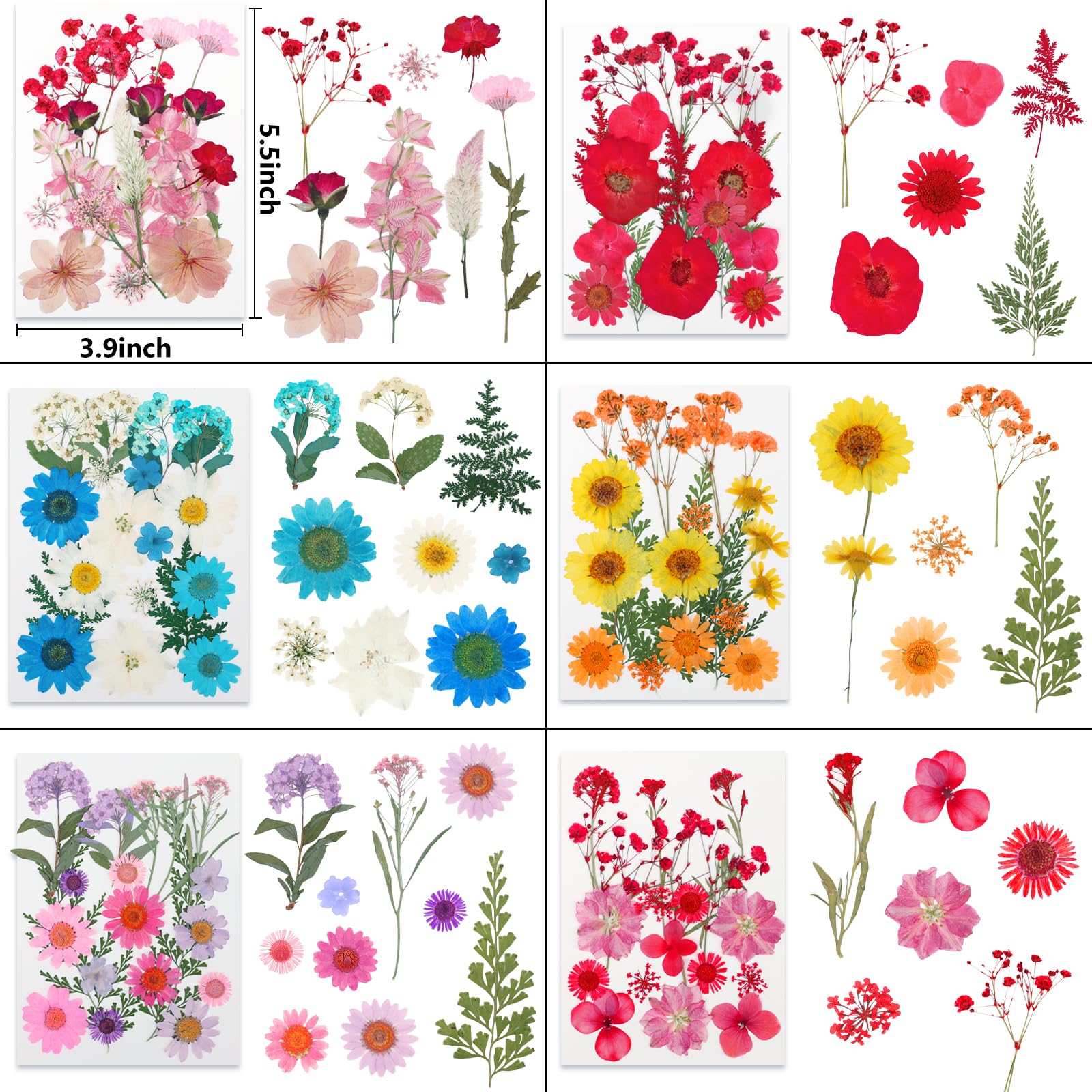 NESCCI dried flowers for resin and crafts add natural charm to any project.