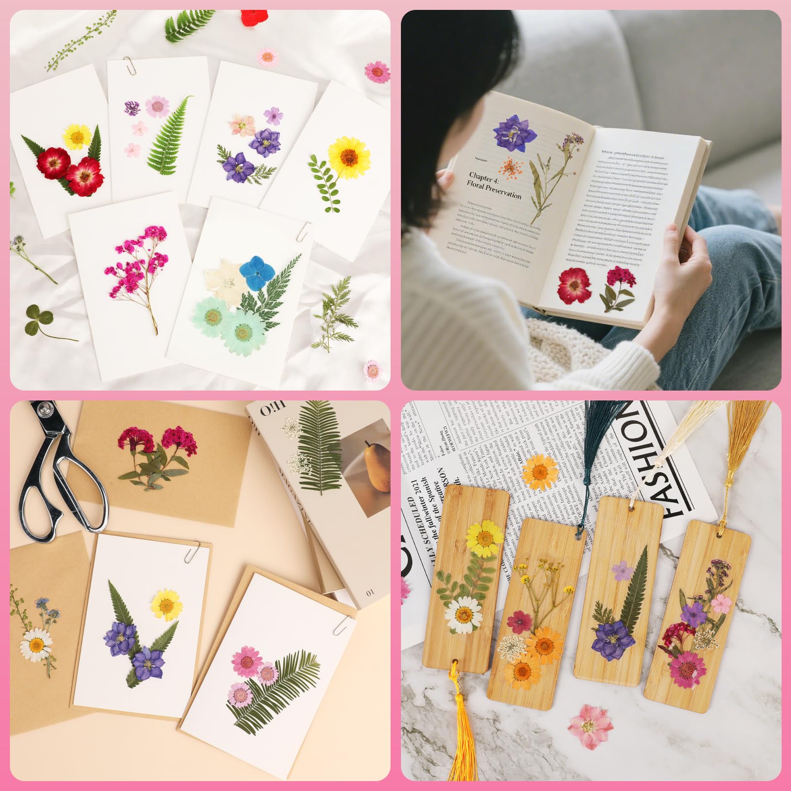 Assorted dried flowers and leaves sheets showing natural color for DIY projects