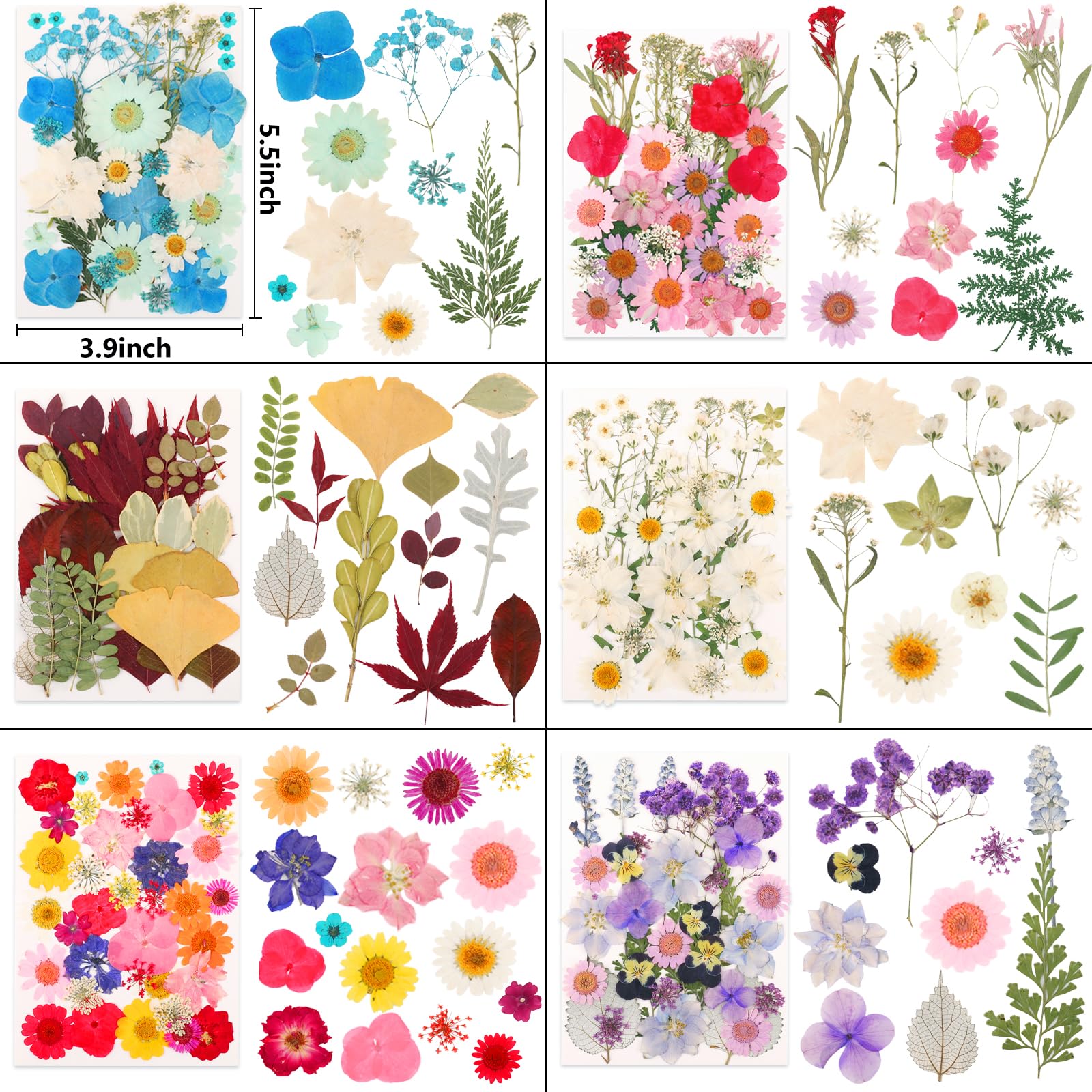 NESCCI guide to resin projects and creative uses with dried flowers