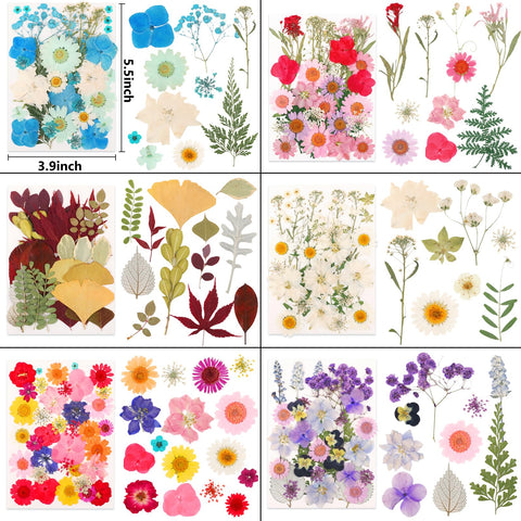 NESCCI guide to resin projects and creative uses with dried flowers