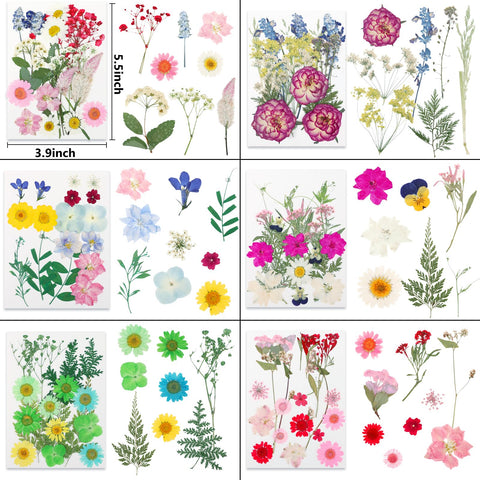 NESCCI vacuum-packaged dried flowers protect delicate petals during transport.