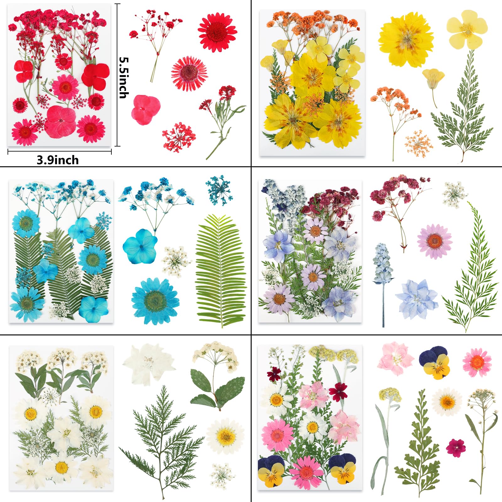 NESCCI variety of colors and shapes supports diverse resin and scrapbooking projects.
