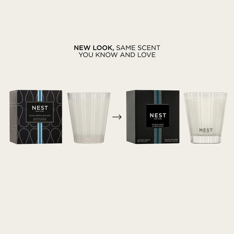 Nest New York glass vessel with frosted stripes adds elegant decor.