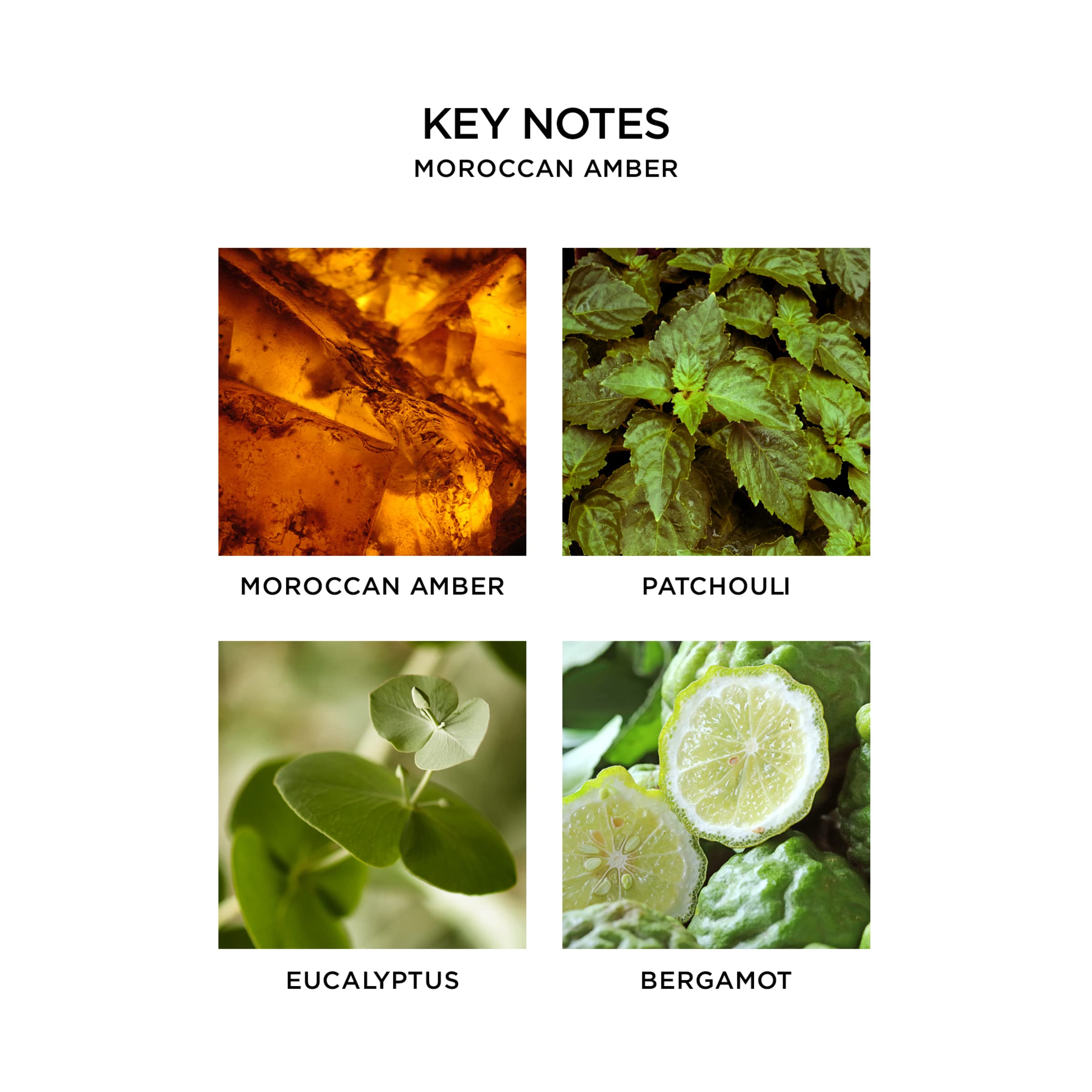 Nest New York amber-patchouli-heliotrope closeup highlighting rich earthy aroma.