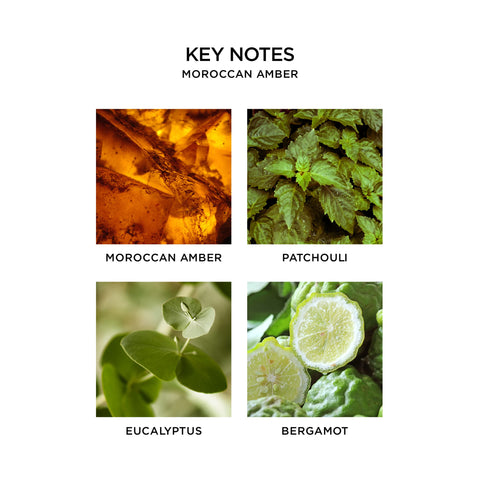 Nest New York amber-patchouli-heliotrope closeup highlighting rich earthy aroma.