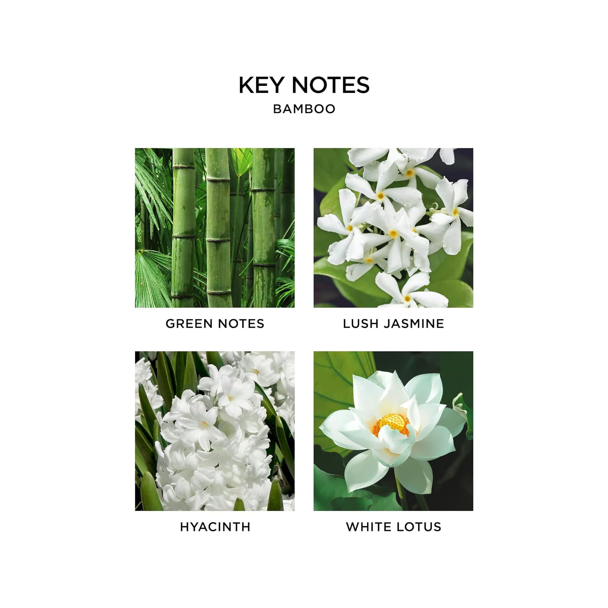 Nest New York Bamboo refill pack with two vials for easy scent switching