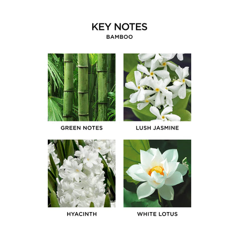 NEST New York Bamboo fragrance profile with fresh florals and greens