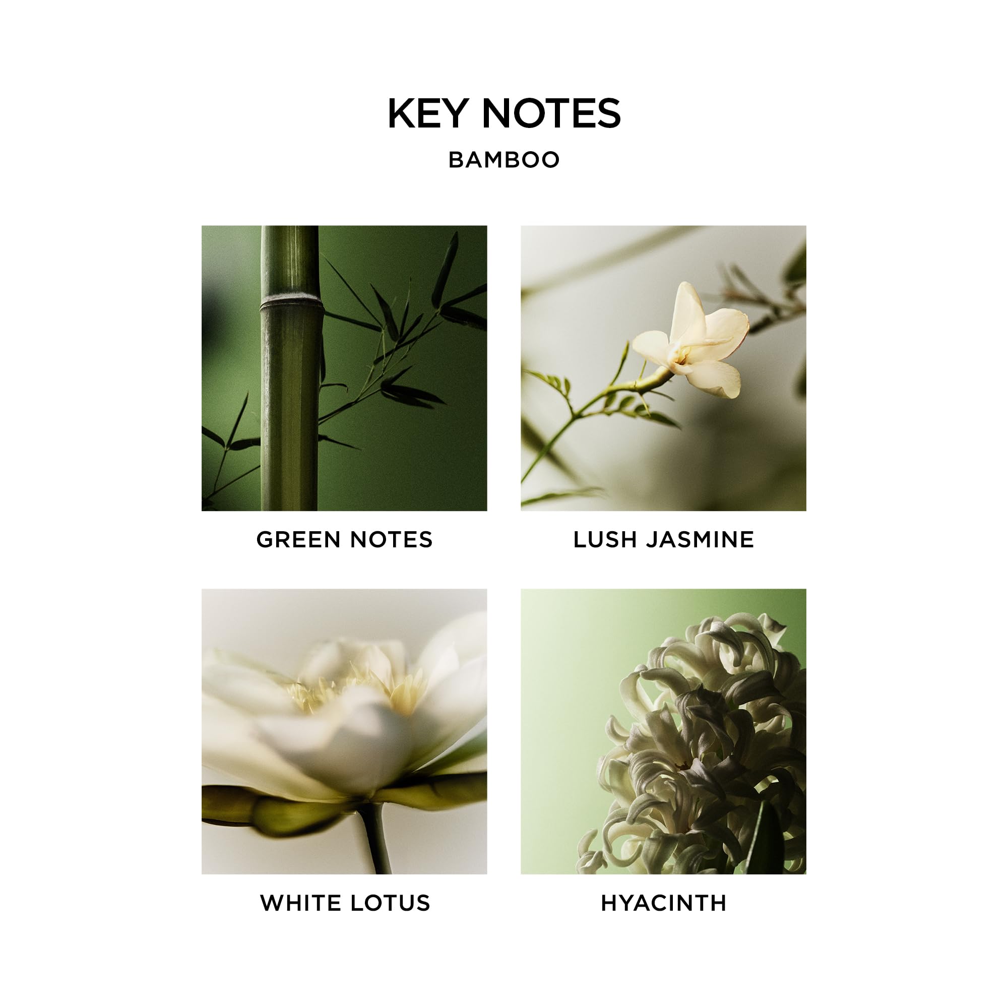NEST New York Bamboo packaging promotes sustainable, cruelty-free luxury.