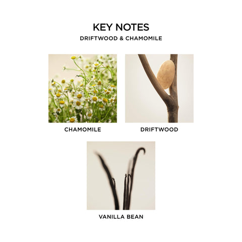 Nest New York Driftwood Chamomile candle scent notes invite cozy evenings