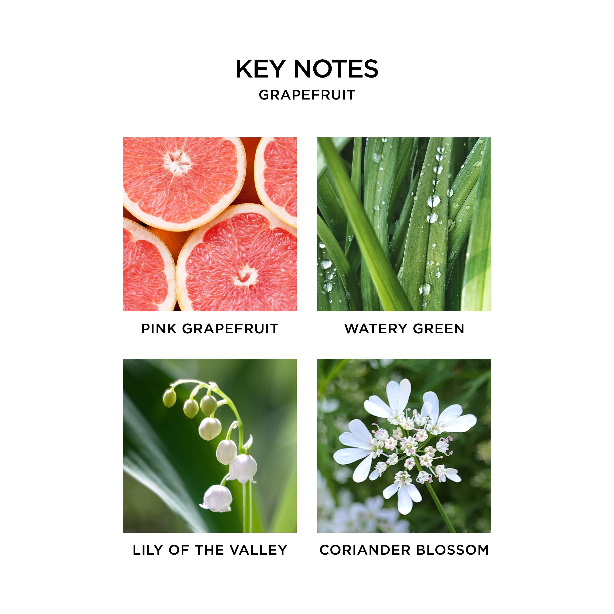 Close-up of grapefruit fragrance vial ready to refresh NEST diffuser