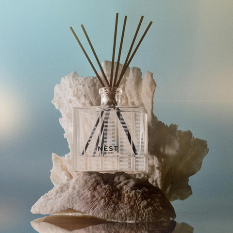 Nest New York Ocean Mist diffuser reeds ready to refresh your space.