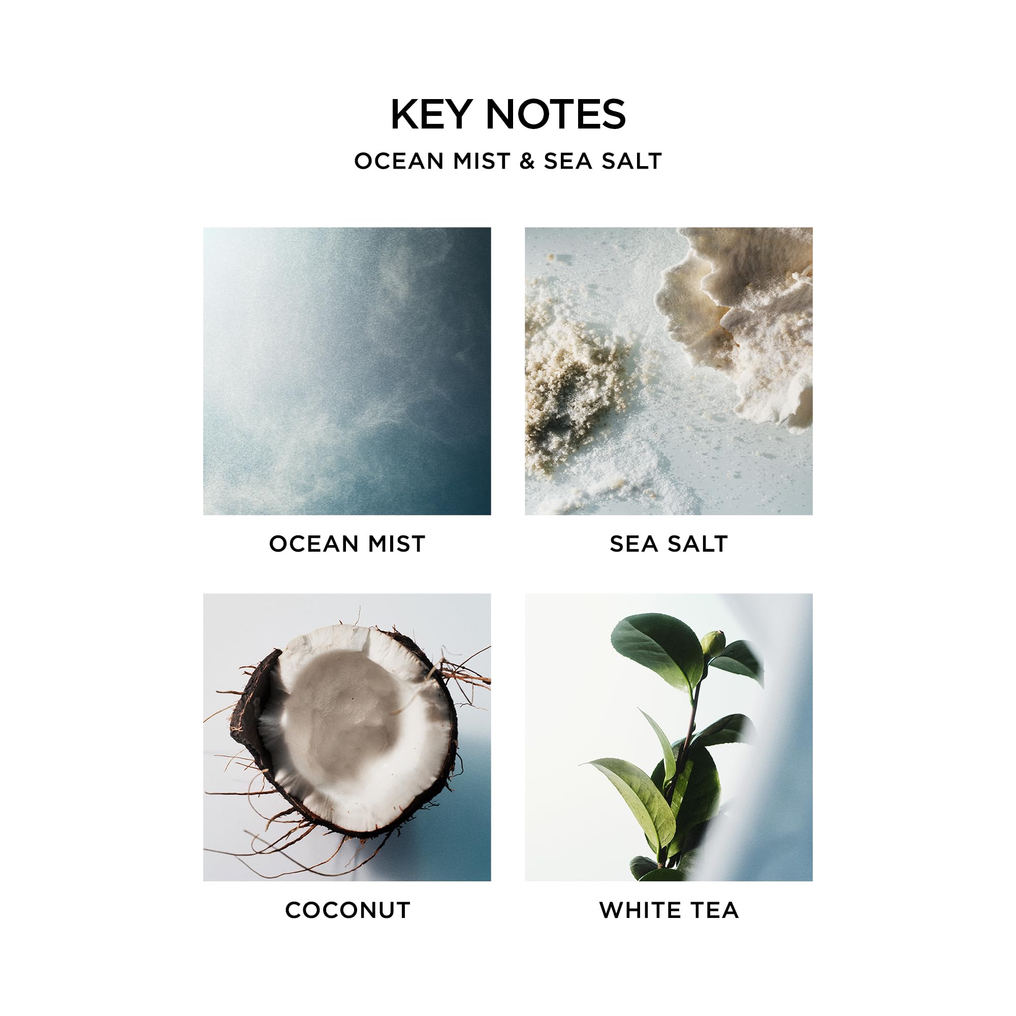 Candle lit in evening, Ocean Mist & Sea Salt creates a soft coastal glow.