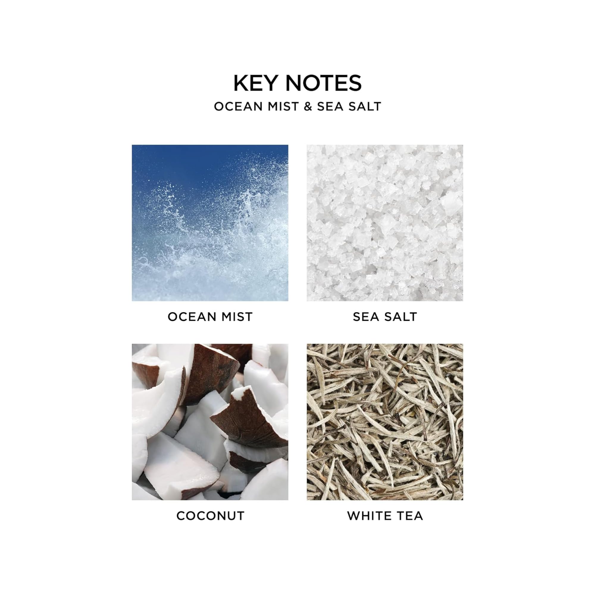 NEST New York Ocean Mist & Sea Salt refill vial for Pura 3 delivers lasting oceanic notes