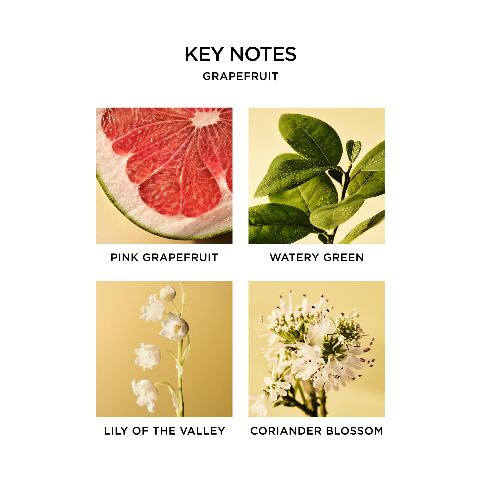 Elegant Grapefruit diffuser label from NEST New York hints premium scent