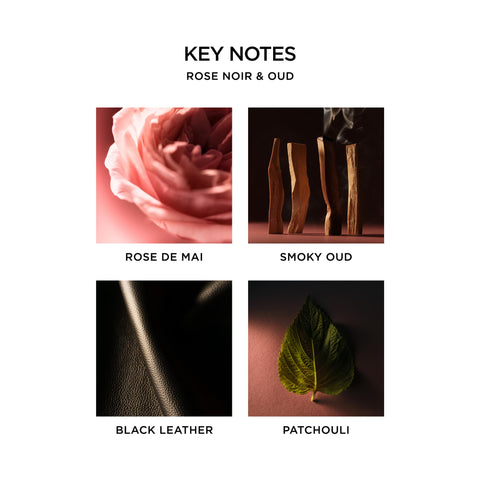 NEST New York reeds-in-diffuser setup delivers continuous fragrance
