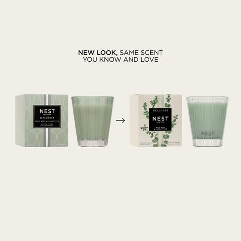 NEST New York sage-tinted glass candle highlights elegant frosted stripes