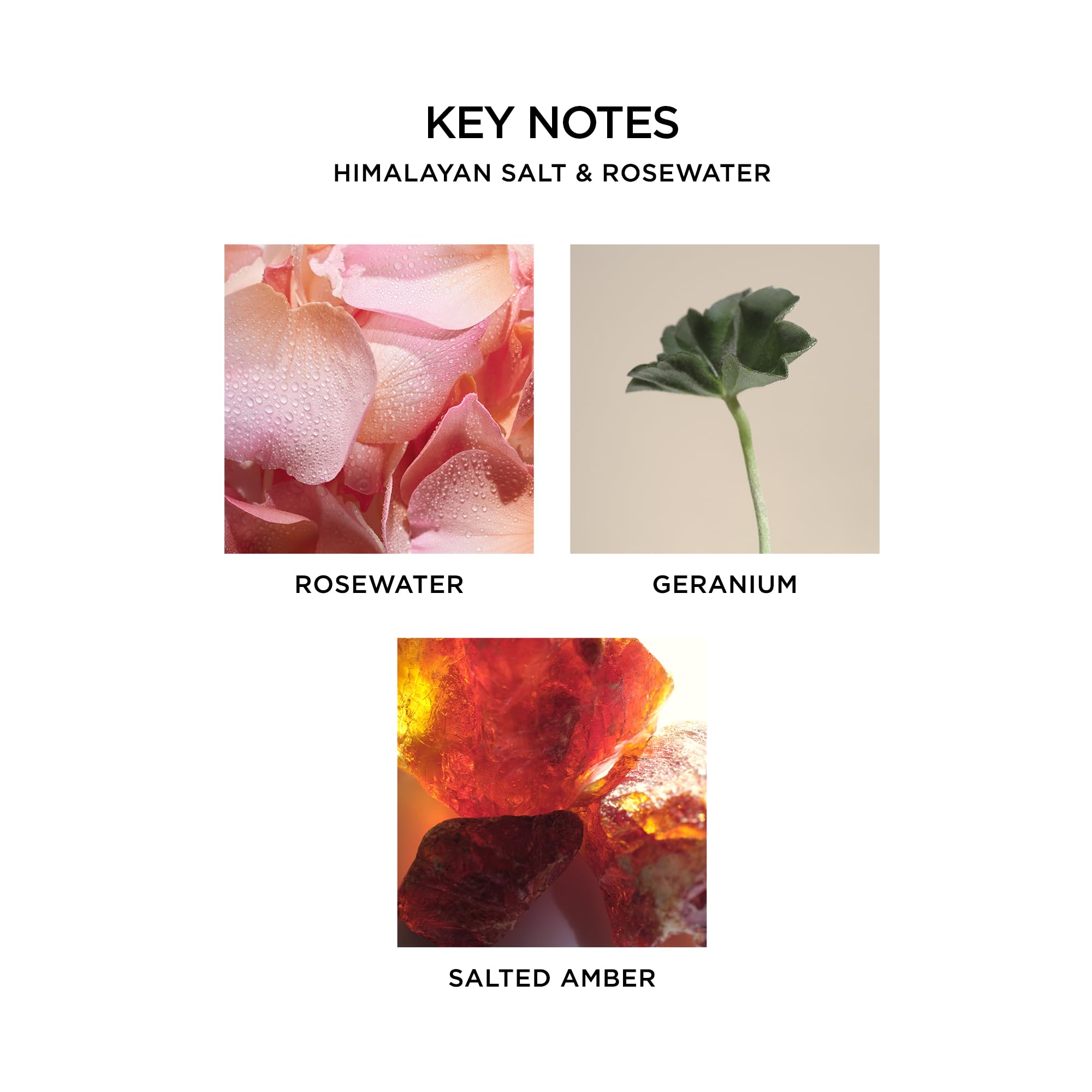 NEST New York Wellness Collection packaging highlights thoughtful gifting and home care.
