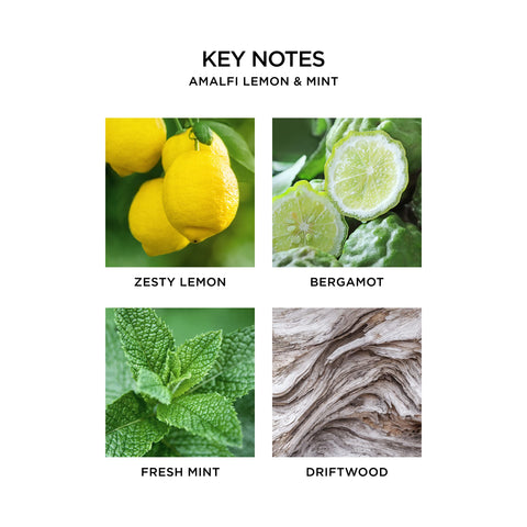 Close-up of NEST Amalfi Lemon & Mint refill pack highlighting vegan formula