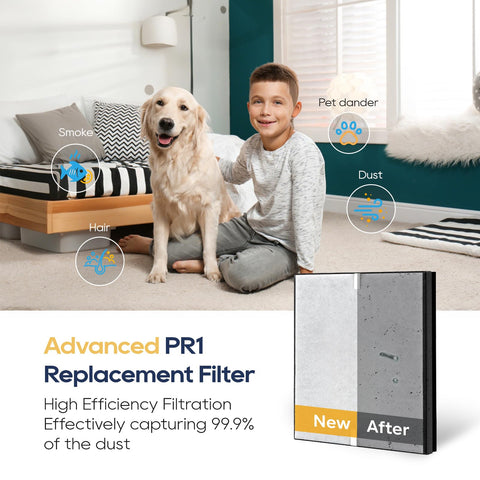 Netezza PR1 helps reduce pet hair and dust buildup in daily living