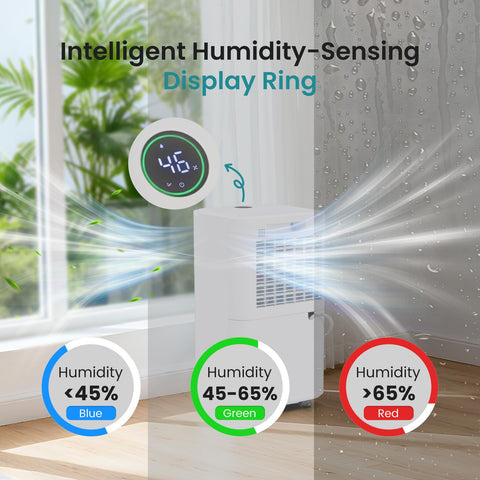 NEWBULIG 30-pint dehumidifier drain hose enables continuous drainage