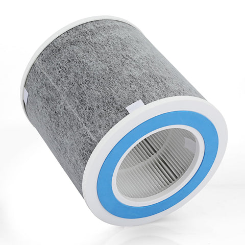 Nezxeiy 2 filters plus cleaning brush for thorough purifier maintenance.