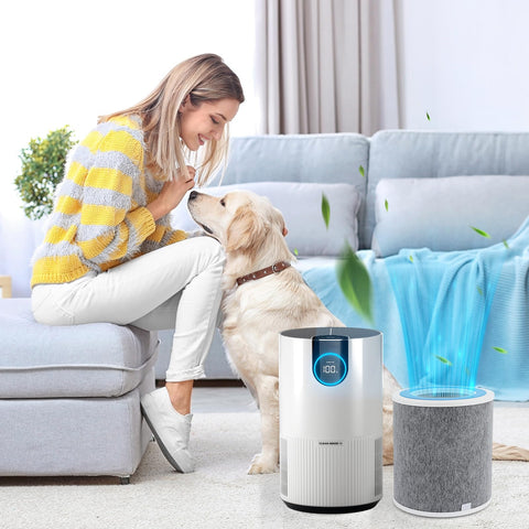 Nezxeiy HP102PET filter helps reduce smoke and pet dander in homes.