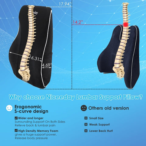 Niceeday car-seat use demonstrates versatile support during drives